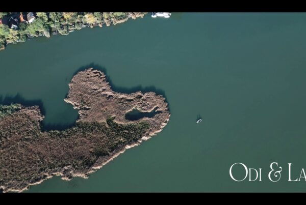 Odi és Laci esküvője Szigetszentmártonban, Martoni Rendezvényház