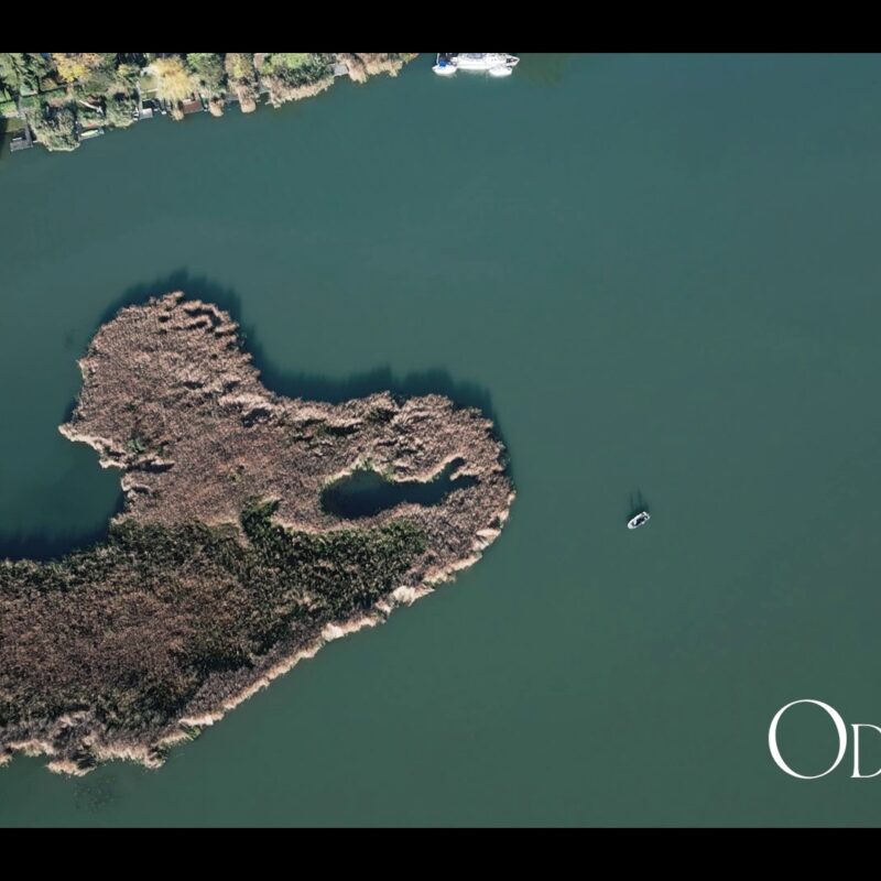 Odi és Laci esküvője Szigetszentmártonban, Martoni Rendezvényház